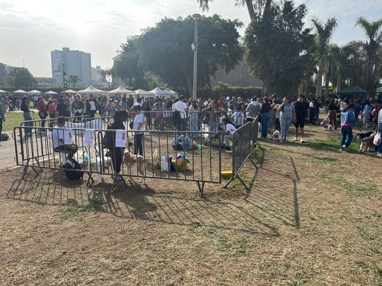 Se muestra una cerca, dentro de esta hay rescatistas junto a los perros que ayudaron. En la feria, se buscaba encontrarle un hogar a los distintos animales domésticos que habitaban en el parque del Circuito Mágico de las Aguas en el Cercado de Lima en Lima, Perú.